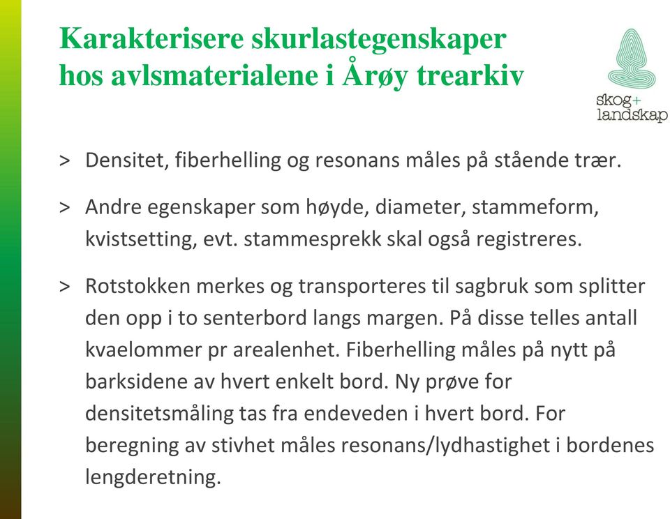 > Rotstokken merkes og transporteres til sagbruk som splitter den opp i to senterbord langs margen.