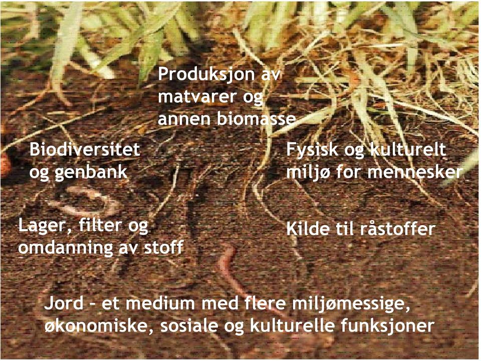 filter og omdanning av stoff Kilde til råstoffer Jord et