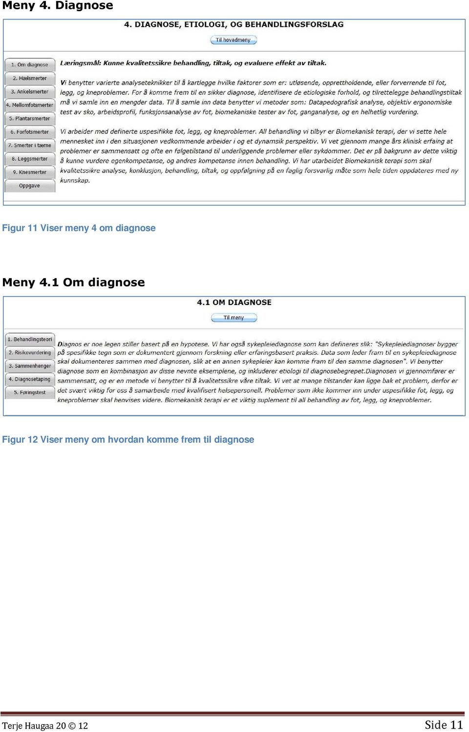 diagnose 1 Om diagnose Figur 12 Viser