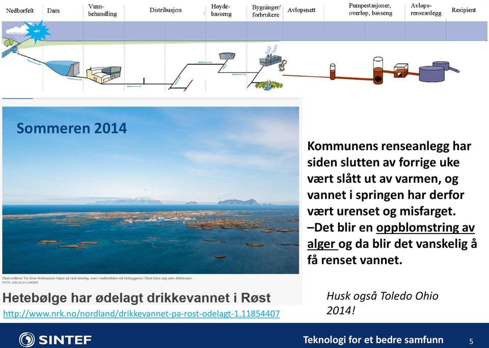 Det blir en oppblomstring av alger og da blir det vanskelig å få renset vannet.