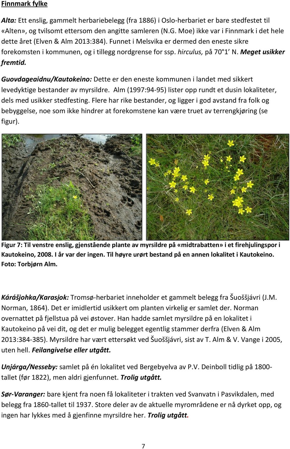 Meget usikker fremtid. Guovdageaidnu/Kautokeino: Dette er den eneste kommunen i landet med sikkert levedyktige bestander av myrsildre.