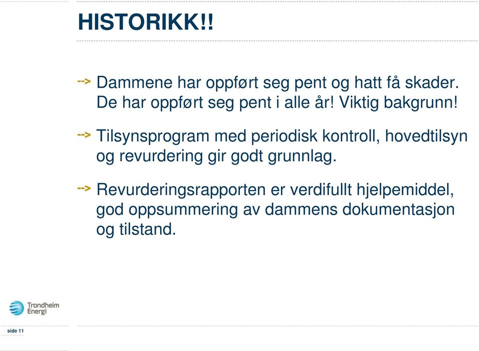 Tilsynsprogram med periodisk kontroll, hovedtilsyn og revurdering gir godt