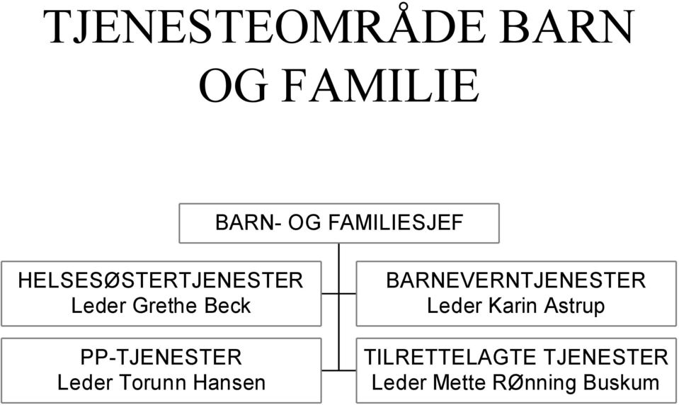 Leder Torunn Hansen BARNEVERNTJENESTER Leder