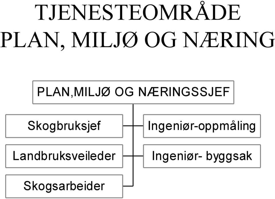 Skogbruksjef Landbruksveileder