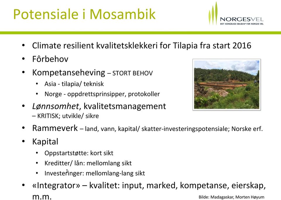 vann, kapital/ skatter-investeringspotensiale; Norske erf.