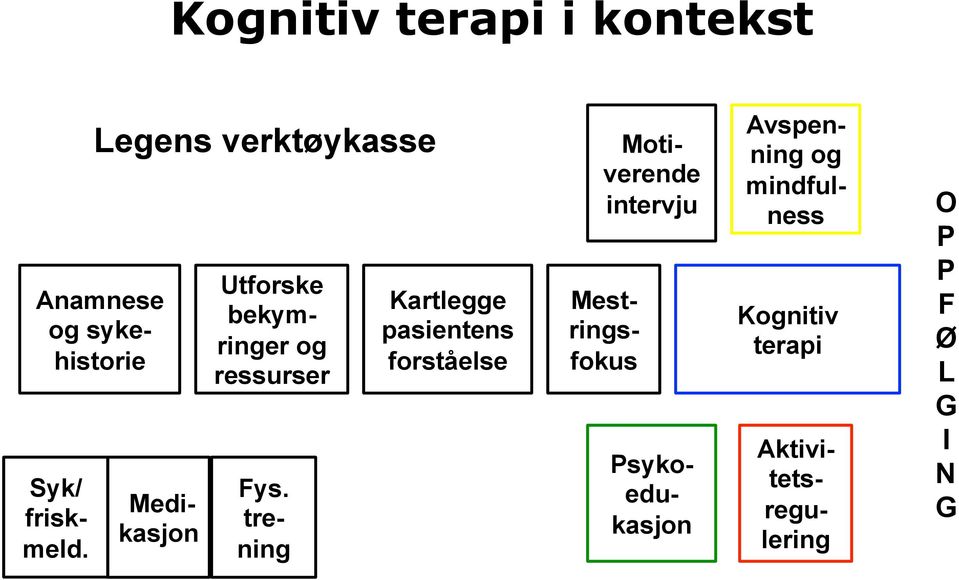 pasientens forståelse Motiverende intervju Mestringsfokus Psykoedukasjon