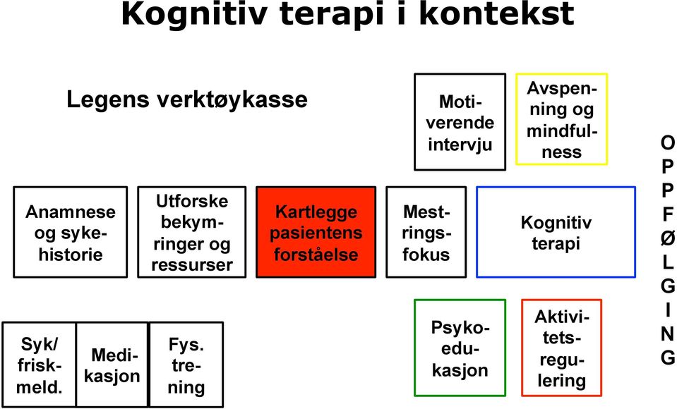 pasientens forståelse Motiverende intervju Mestringsfokus Psykoedukasjon