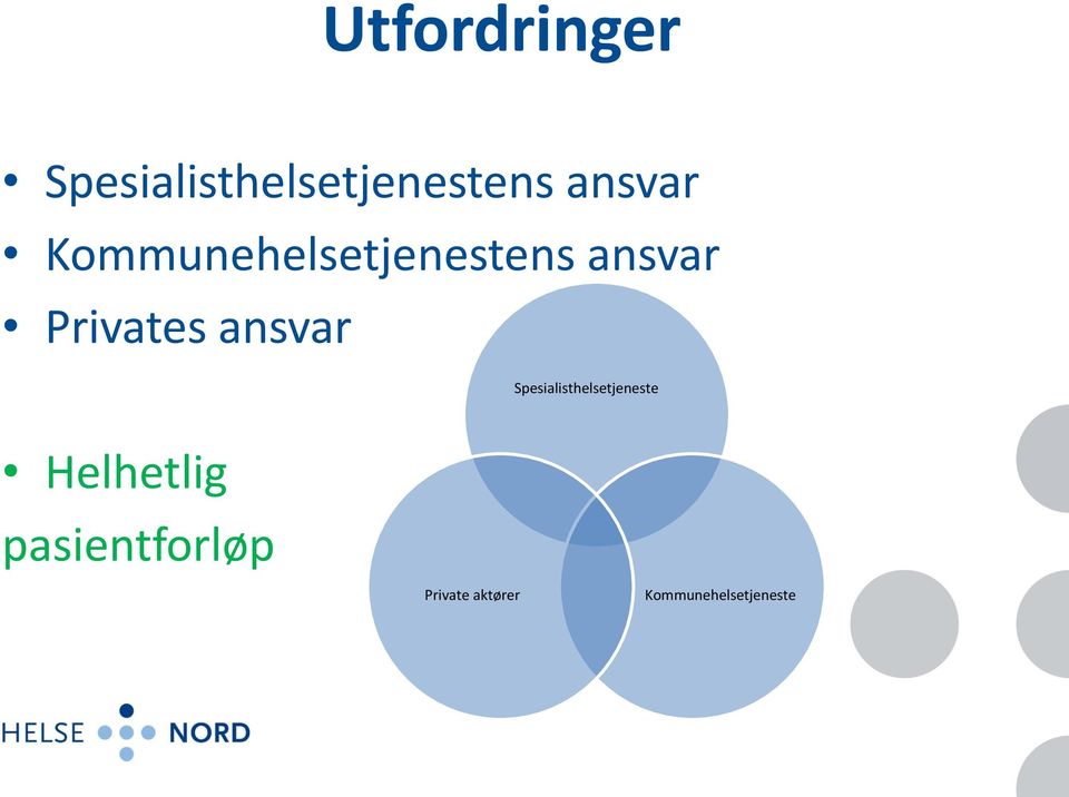 Privates ansvar Spesialisthelsetjeneste
