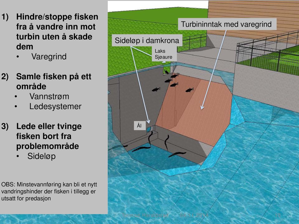 Ledesystemer 3) Lede eller tvinge fisken bort fra problemområde Sideløp Ål OBS: