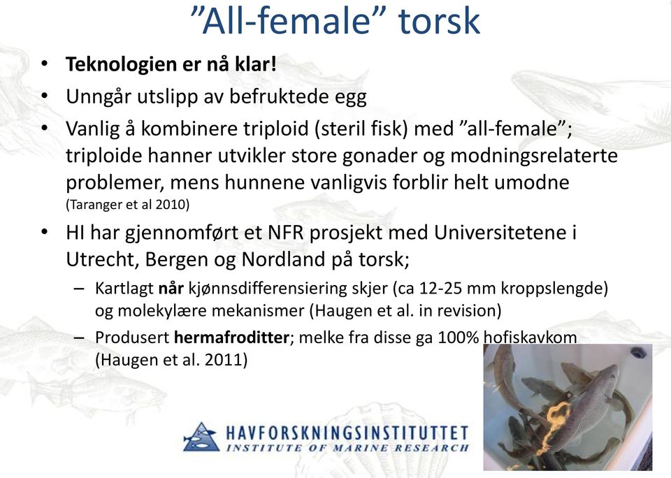 gonader og modningsrelaterte problemer, mens hunnene vanligvis forblir helt umodne (Taranger et al 2010) HI har gjennomført et NFR prosjekt