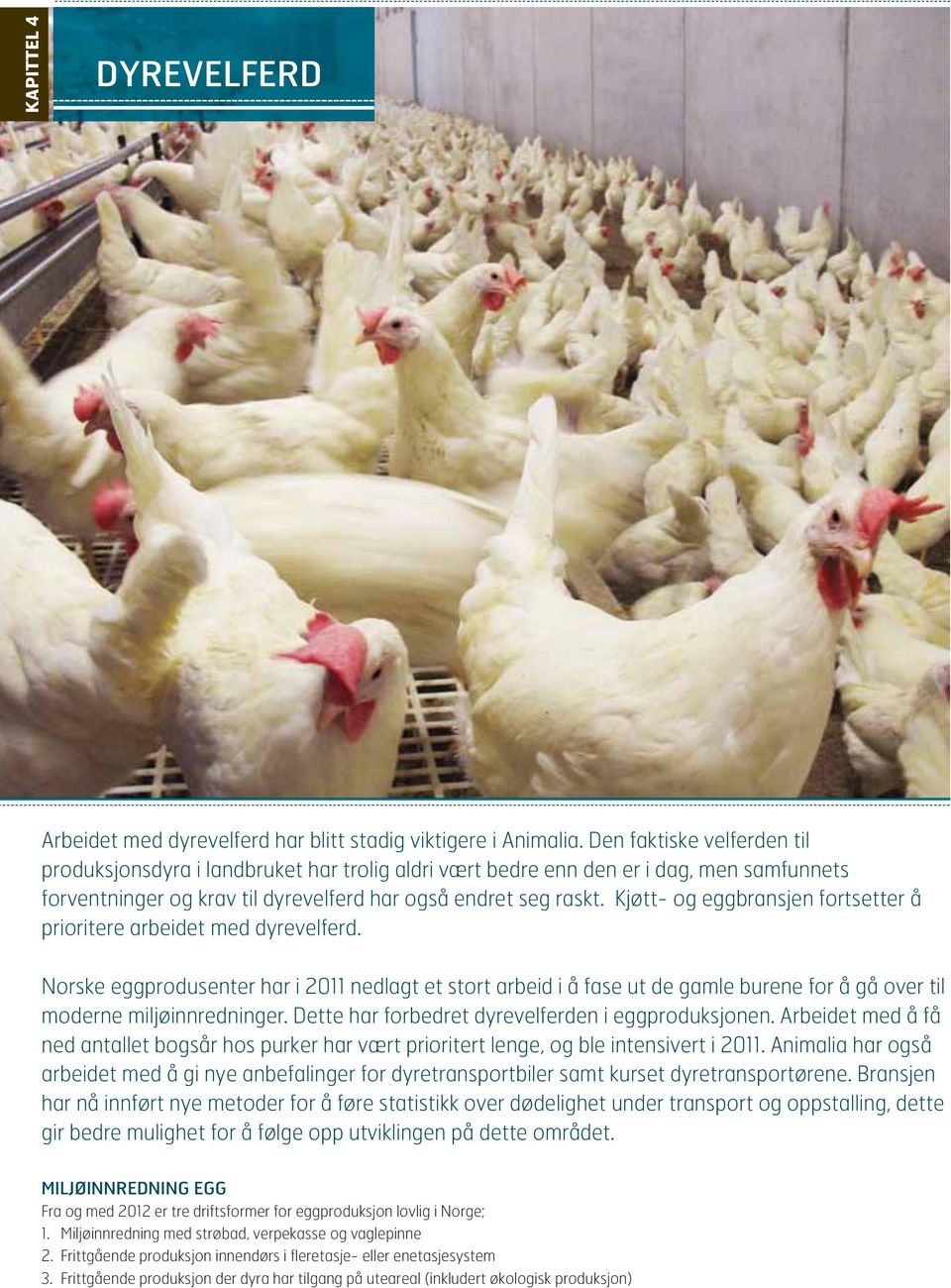 Kjøtt- og eggbransjen fortsetter å prioritere arbeidet med dyrevelferd.