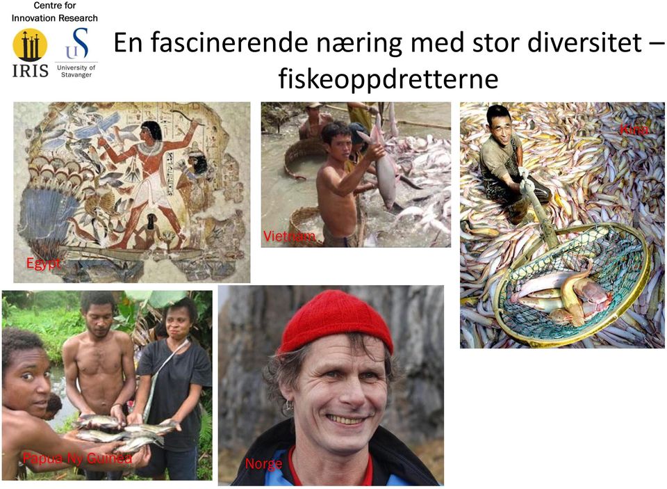 fiskeoppdretterne Kina