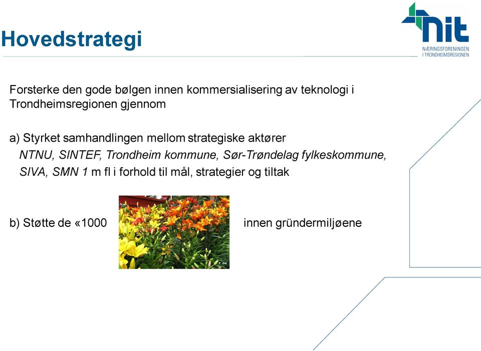 NTNU, SINTEF, Trondheim kommune, Sør-Trøndelag fylkeskommune, SIVA, SMN 1 m fl