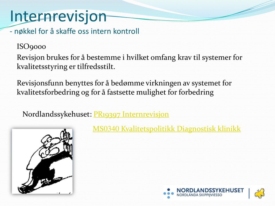 Revisjonsfunn benyttes for å bedømme virkningen av systemet for kvalitetsforbedring og for å