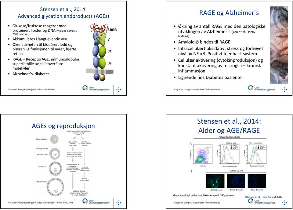 og blæren funksjonen til nyrer, hjerte, retina RAGE = ReceptorAGE: immunoglobulin superfamilie av celleoverflate molekyler Alzheimer`s, diabetes RAGE og Alzheimer`s Økning av antall RAGE med den