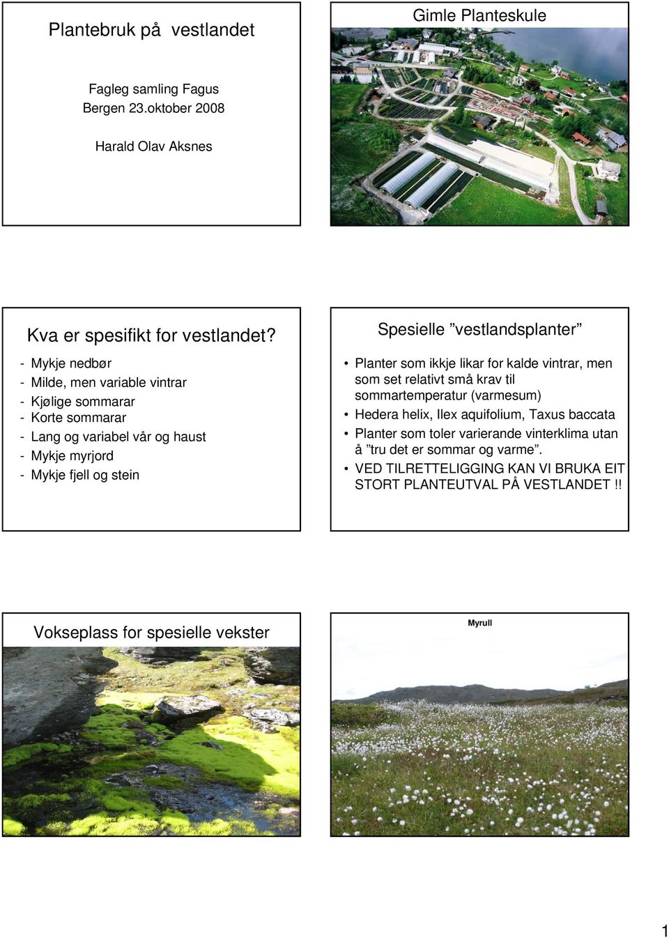 vestlandsplanter Planter som ikkje likar for kalde vintrar, men som set relativt små krav til sommartemperatur (varmesum) Hedera helix, Ilex aquifolium, Taxus