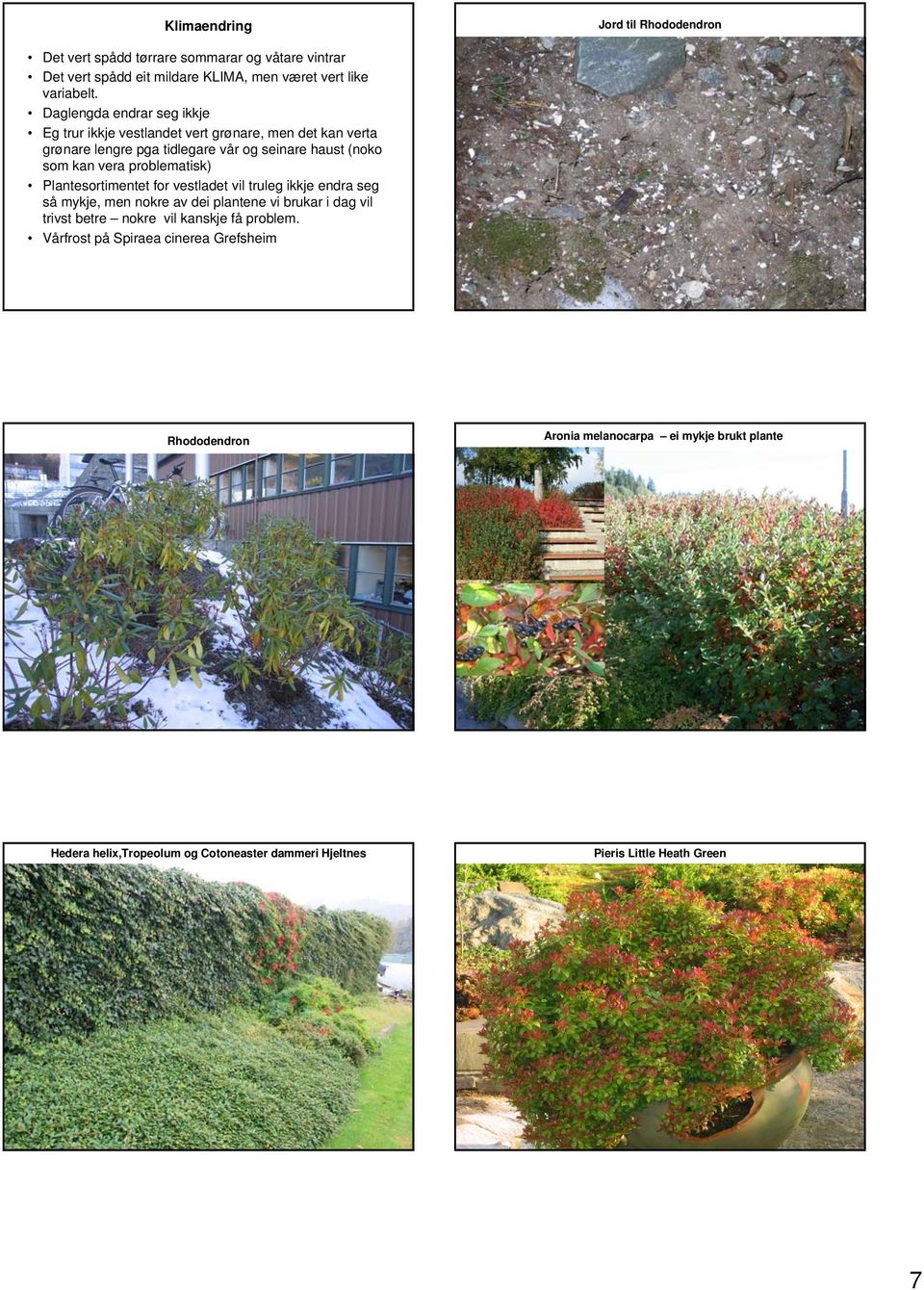 problematisk) Plantesortimentet for vestladet vil truleg ikkje endra seg så mykje, men nokre av dei plantene vi brukar i dag vil trivst betre nokre vil kanskje få