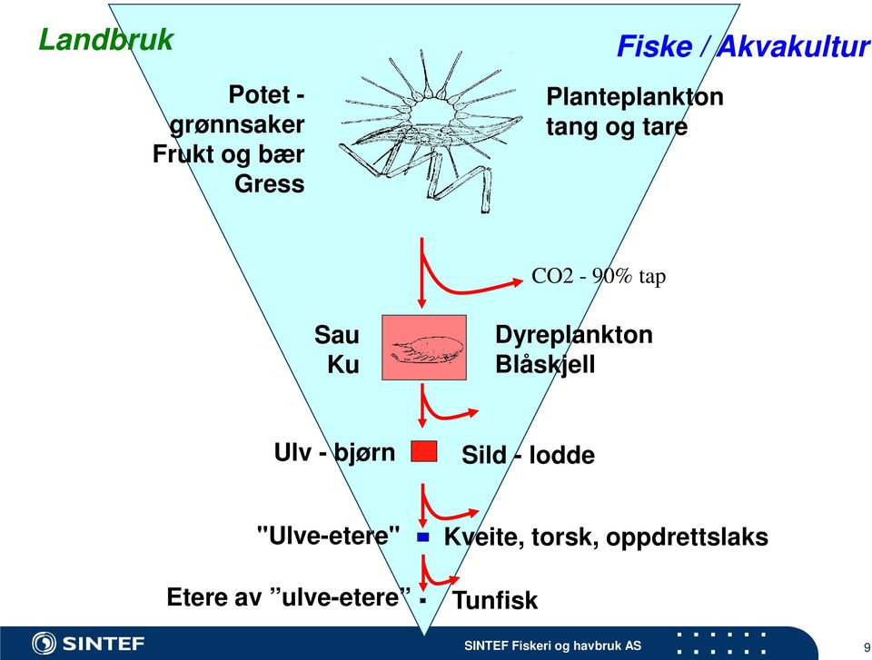 Blåskjell Ulv - bjørn Sild - lodde "Ulve-etere" Etere av