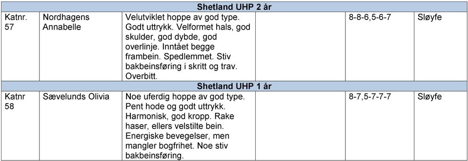 Stiv bakbeinsføring i skritt og trav. Overbitt. Shetland UHP 1 år Noe uferdig hoppe av god type. Pent hode og godt uttrykk.