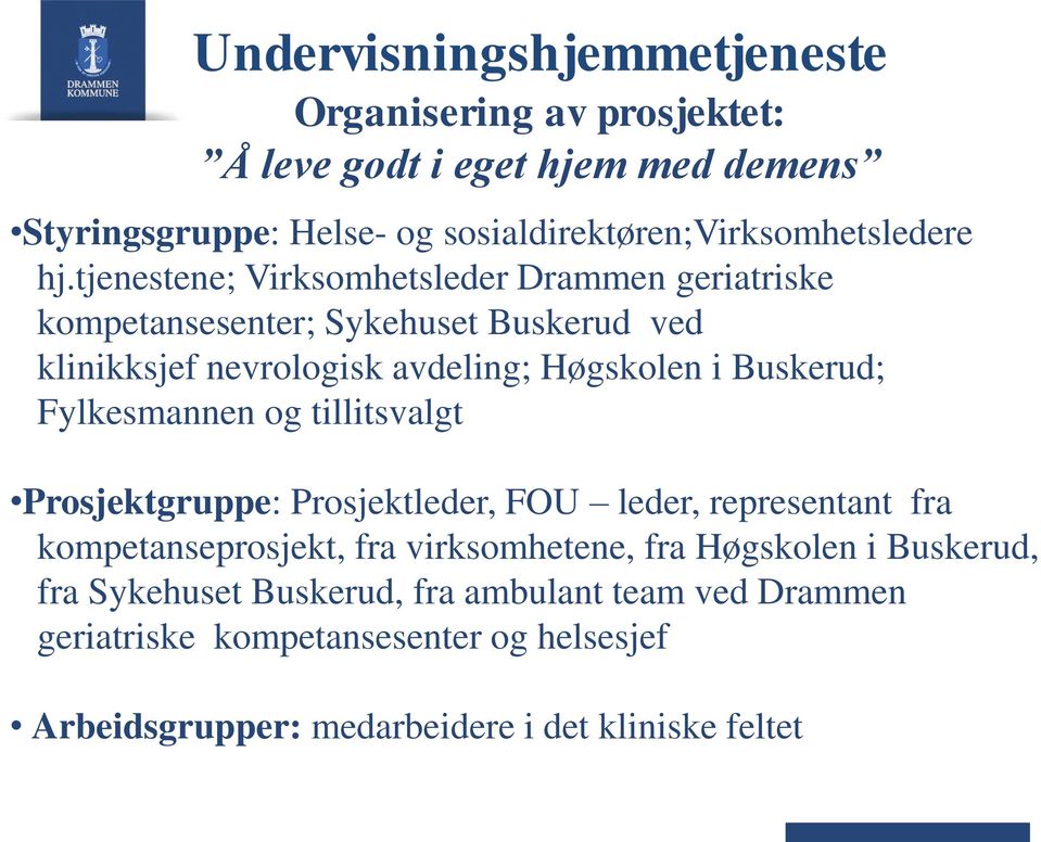 tjenestene; Virksomhetsleder Drammen geriatriske kompetansesenter; Sykehuset Buskerud ved klinikksjef nevrologisk avdeling; Høgskolen i Buskerud;