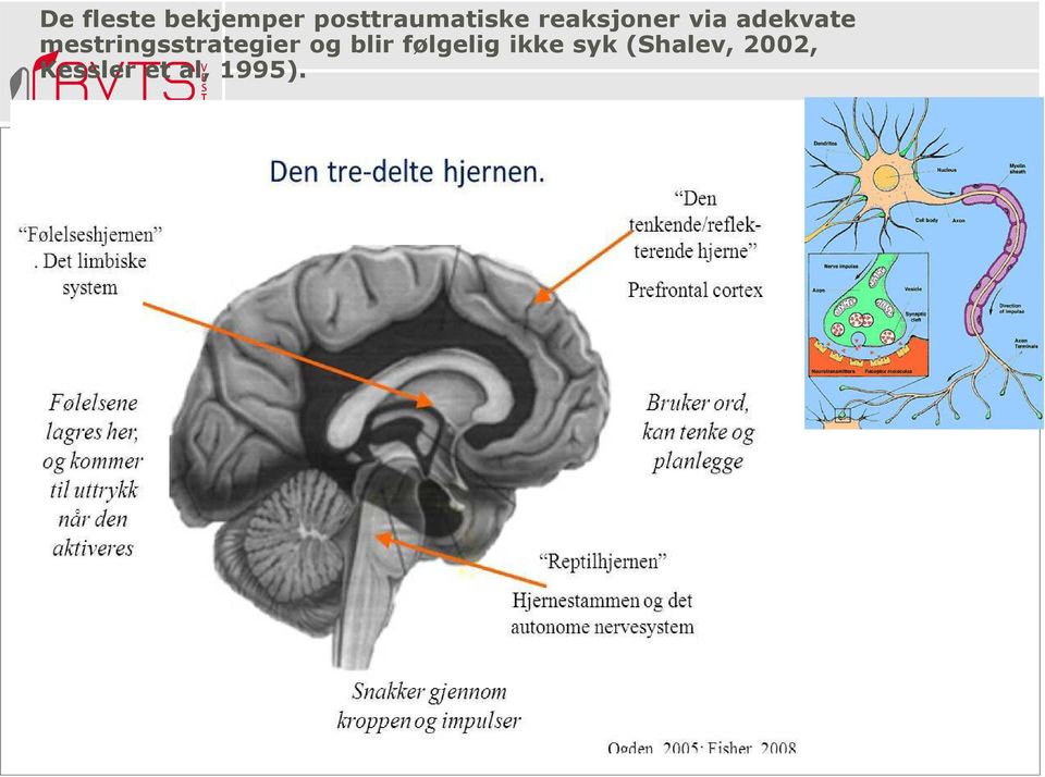 mestringsstrategier og blir