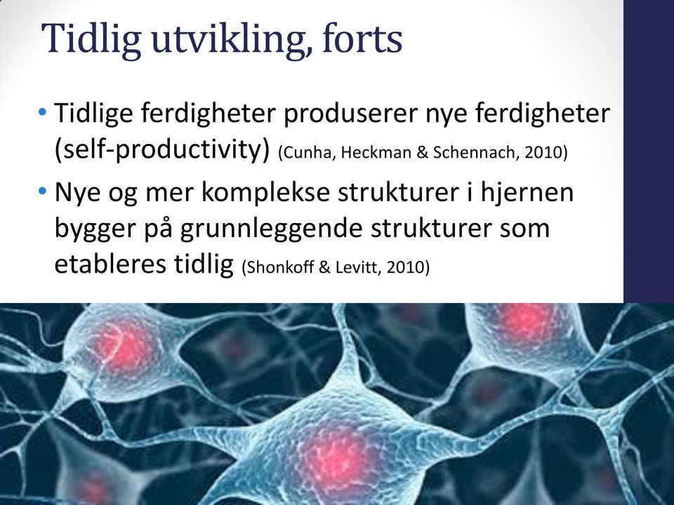 2010) Nye og mer komplekse strukturer i hjernen bygger på