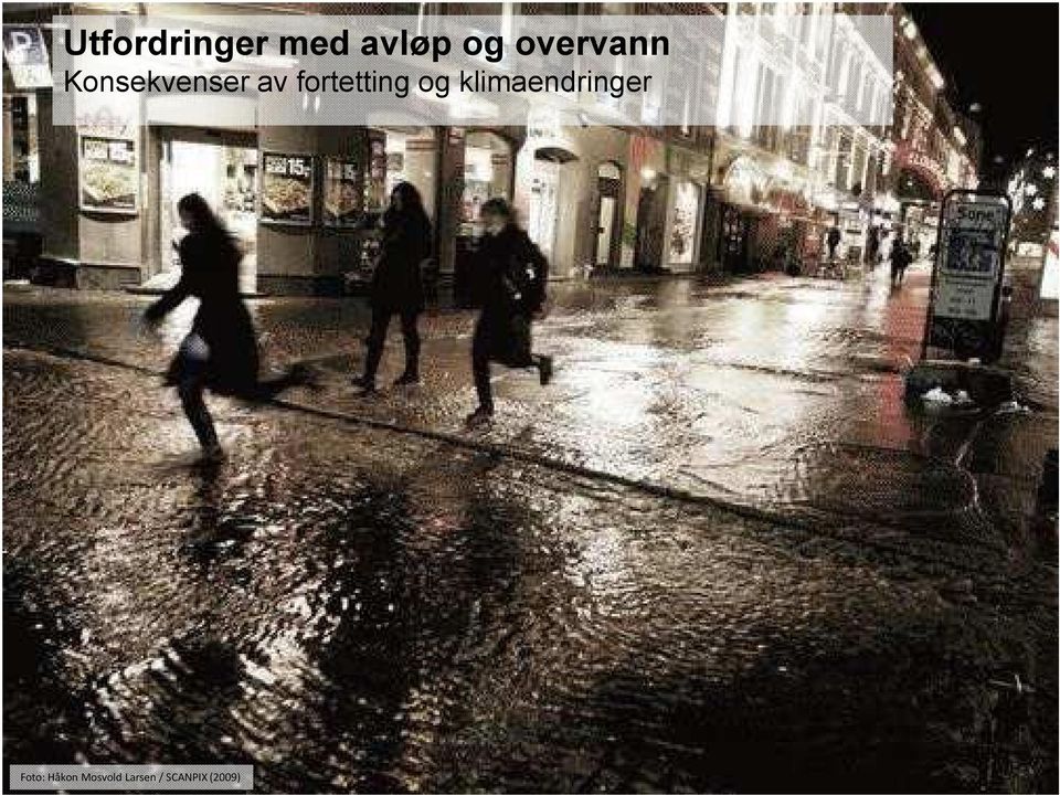 av fortetting og klimaendringer Foto: