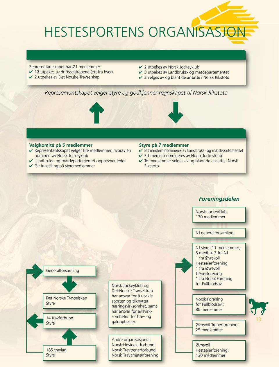 veger fire medemmer, hvorav én nominert av Norsk Jockeykub 4 Landbruks- og matdepartementet oppnevner eder 4 Gir innstiing på styremedemmer Styre på 7 medemmer 4 Ett medem nomineres av Landbruks- og