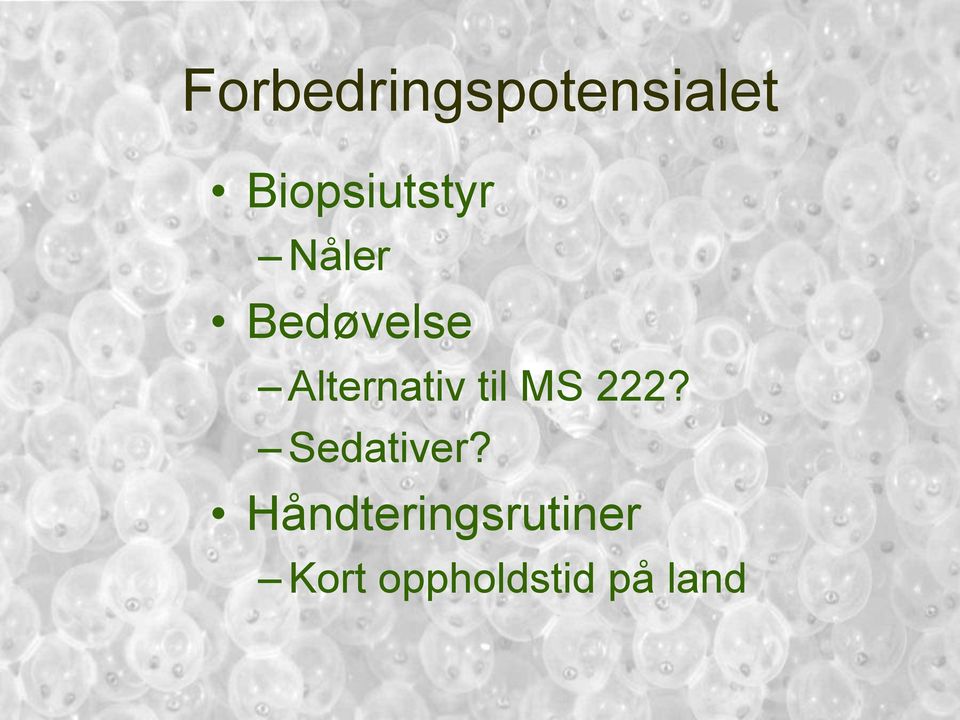 Alternativ til MS 222? Sedativer?