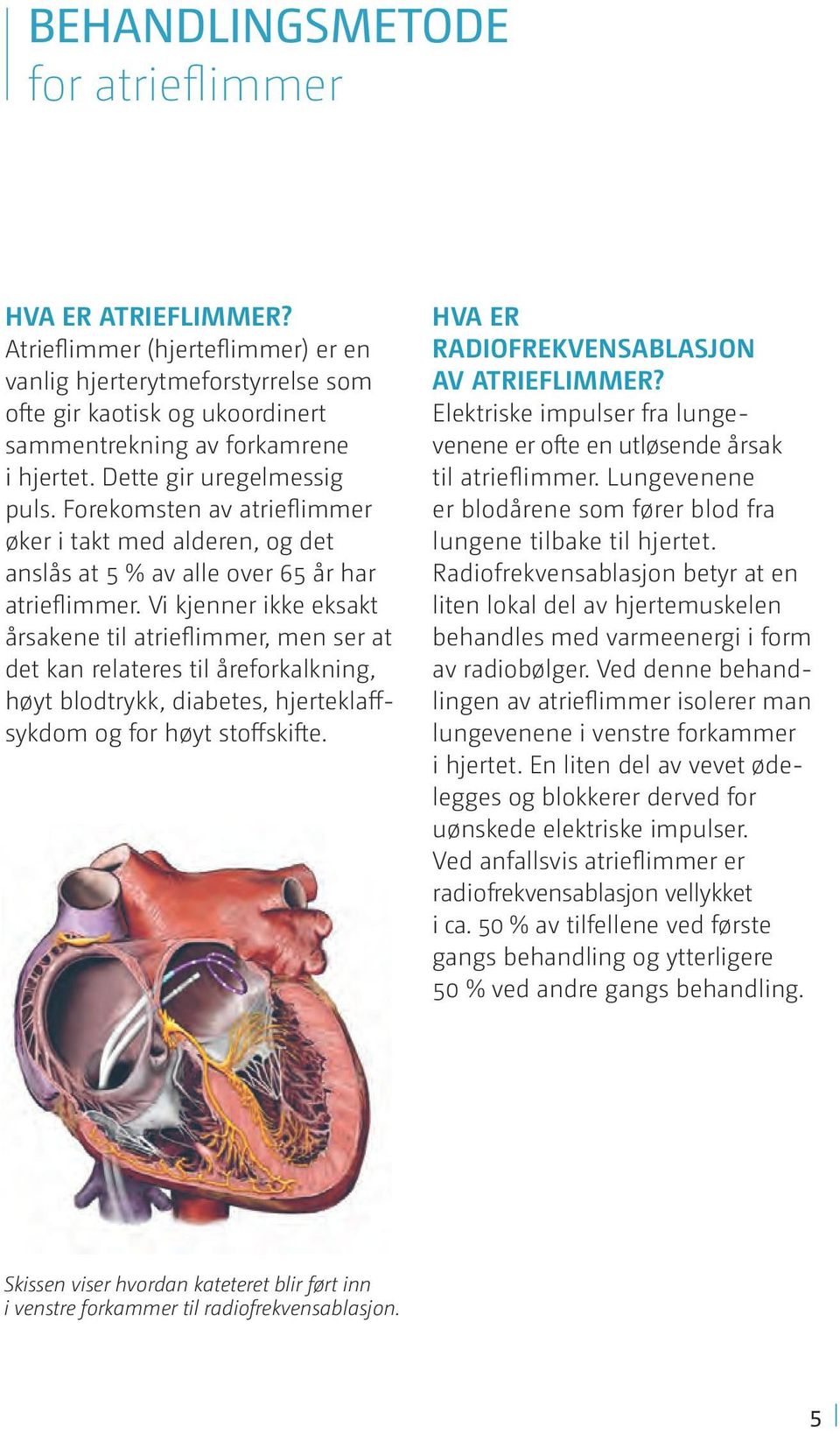 Vi kjenner ikke eksakt årsakene til atrieflimmer, men ser at det kan relateres til åreforkalkning, høyt blodtrykk, diabetes, hjerteklaffsykdom og for høyt stoffskifte.