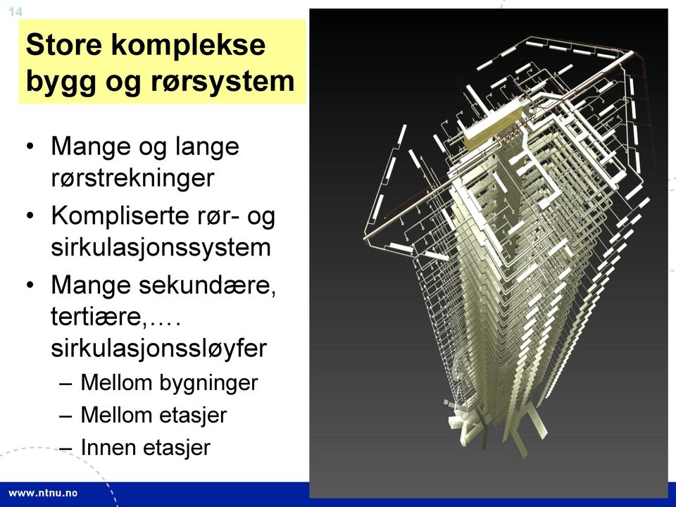 sirkulasjonssystem Mange sekundære, tertiære,.