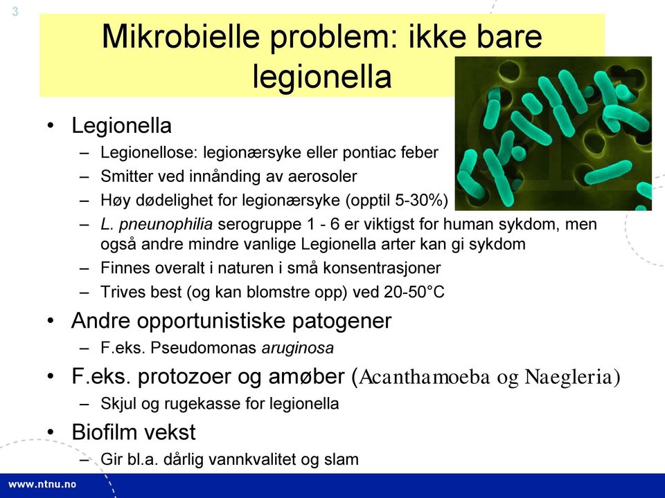 pneunophilia serogruppe 1-6 er viktigst for human sykdom, men også andre mindre vanlige Legionella arter kan gi sykdom Finnes overalt i naturen i små