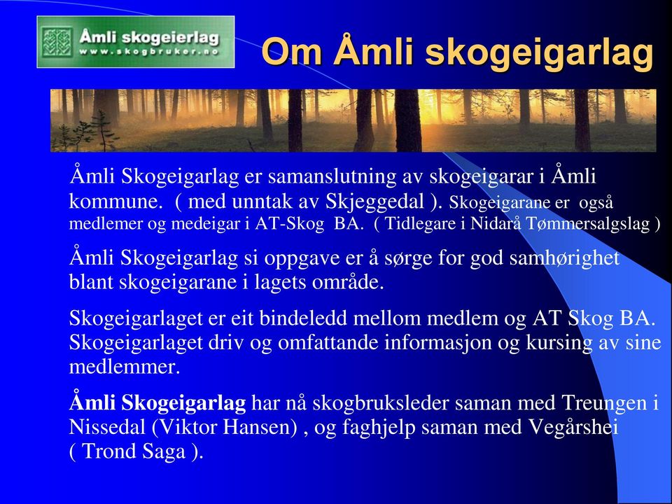 ( Tidlegare i Nidarå Tømmersalgslag ) Åmli Skogeigarlag si oppgave er å sørge for god samhørighet blant skogeigarane i lagets område.
