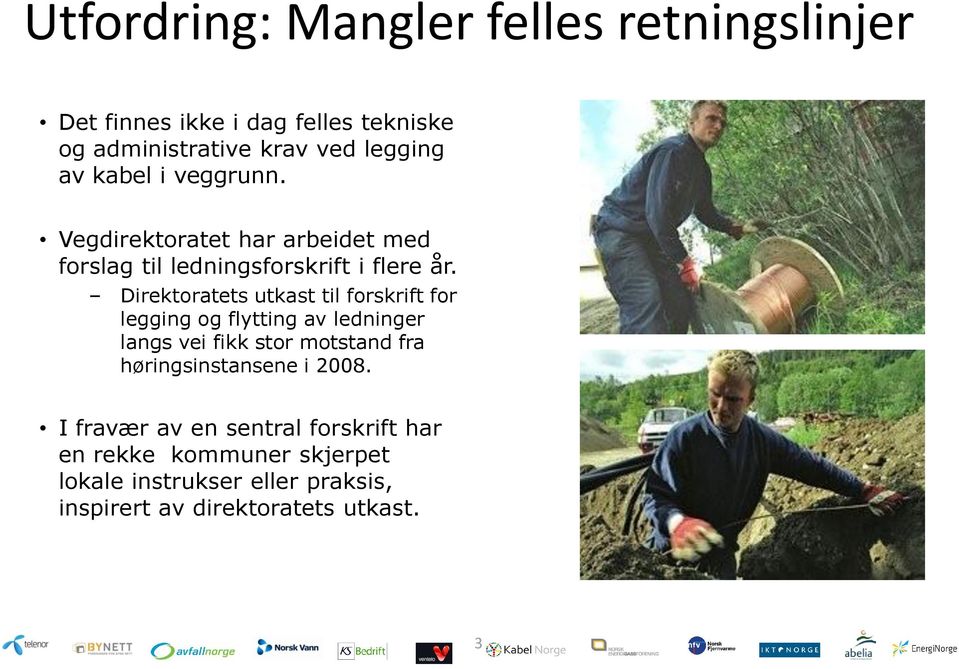 Direktoratets utkast til forskrift for legging og flytting av ledninger langs vei fikk stor motstand fra