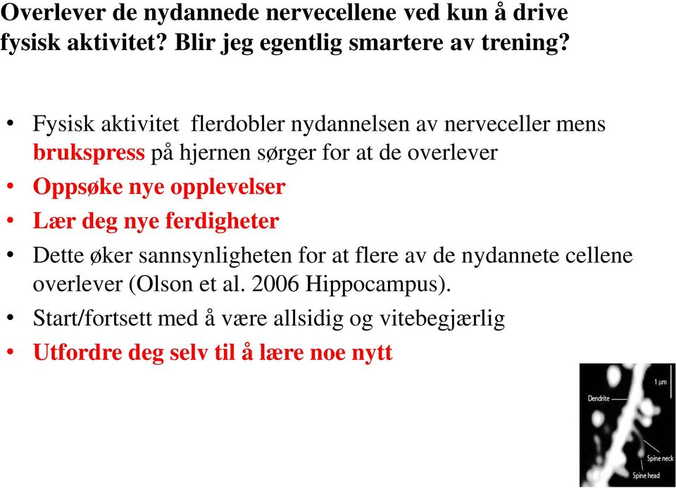 Oppsøke nye opplevelser Lær deg nye ferdigheter Dette øker sannsynligheten for at flere av de nydannete cellene