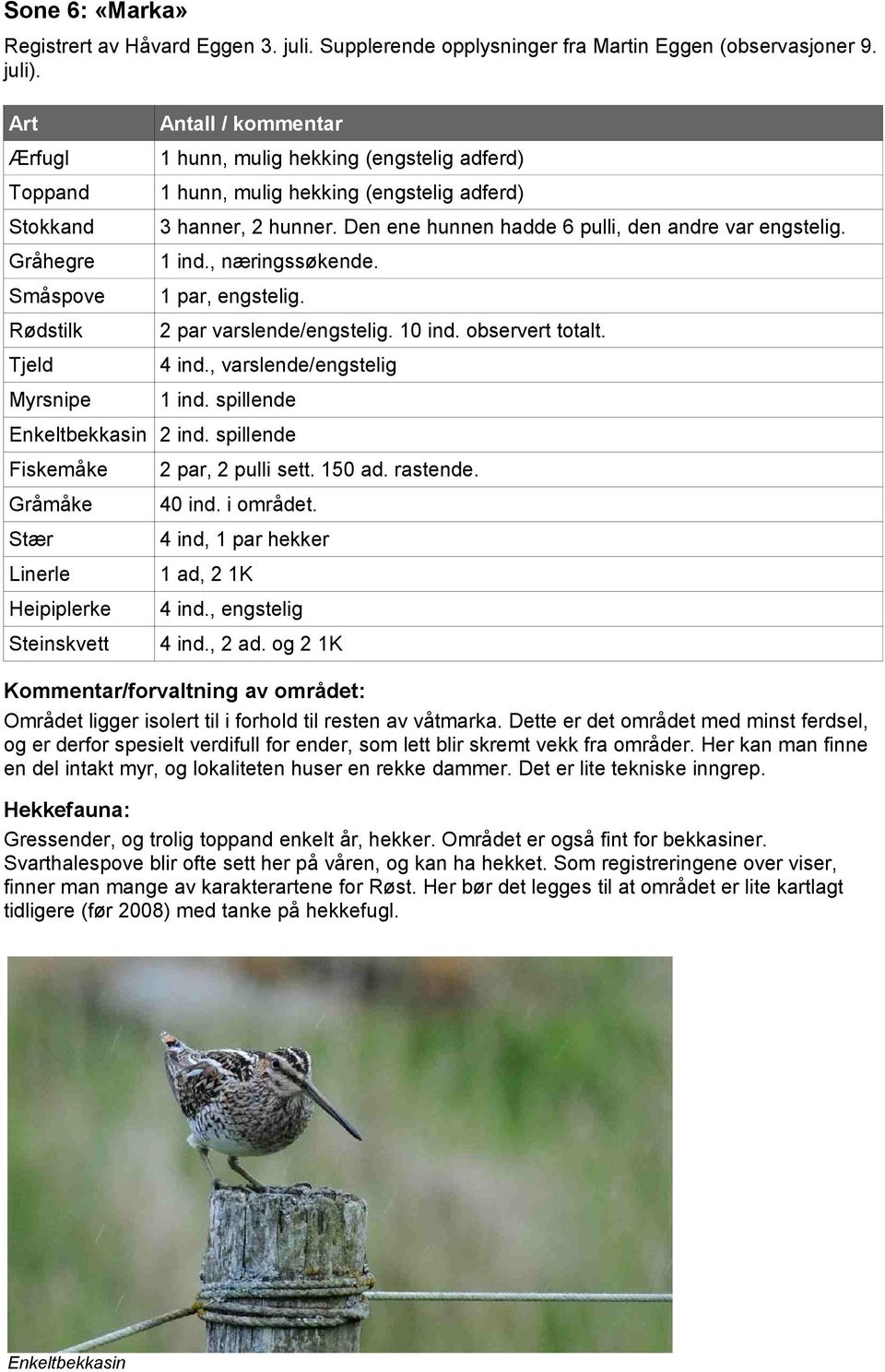 Gråhegre ind., næringssøkende. Småspove par, engstelig. Rødstilk 2 par varslende/engstelig. 0 ind. observert totalt. Tjeld 4 ind., varslende/engstelig Myrsnipe ind. spillende Enkeltbekkasin 2 ind.