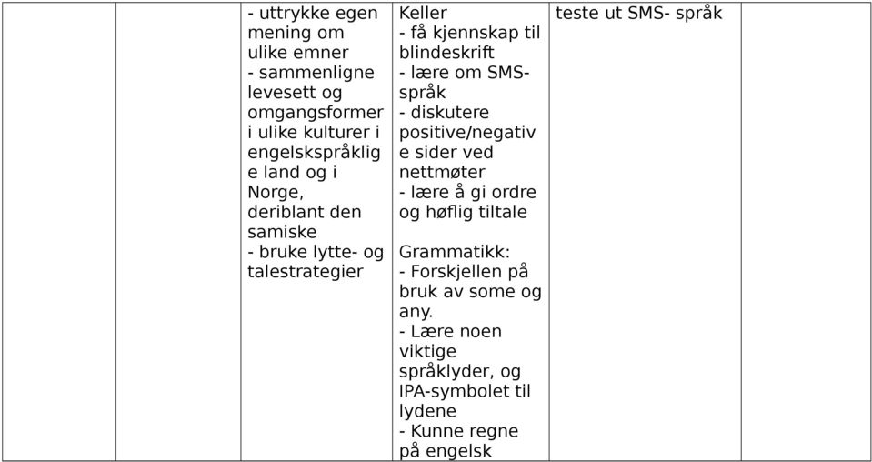 diskutere positive/negativ e sider ved nettmøter lære å gi ordre og høflig tiltale Grammatikk: Forskjellen på