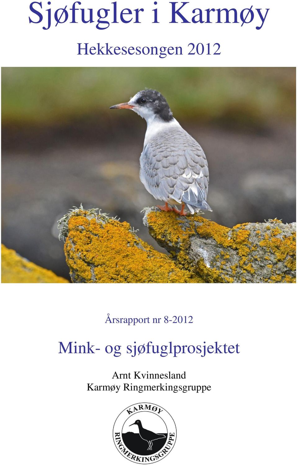 nr 8-2012 Mink- og