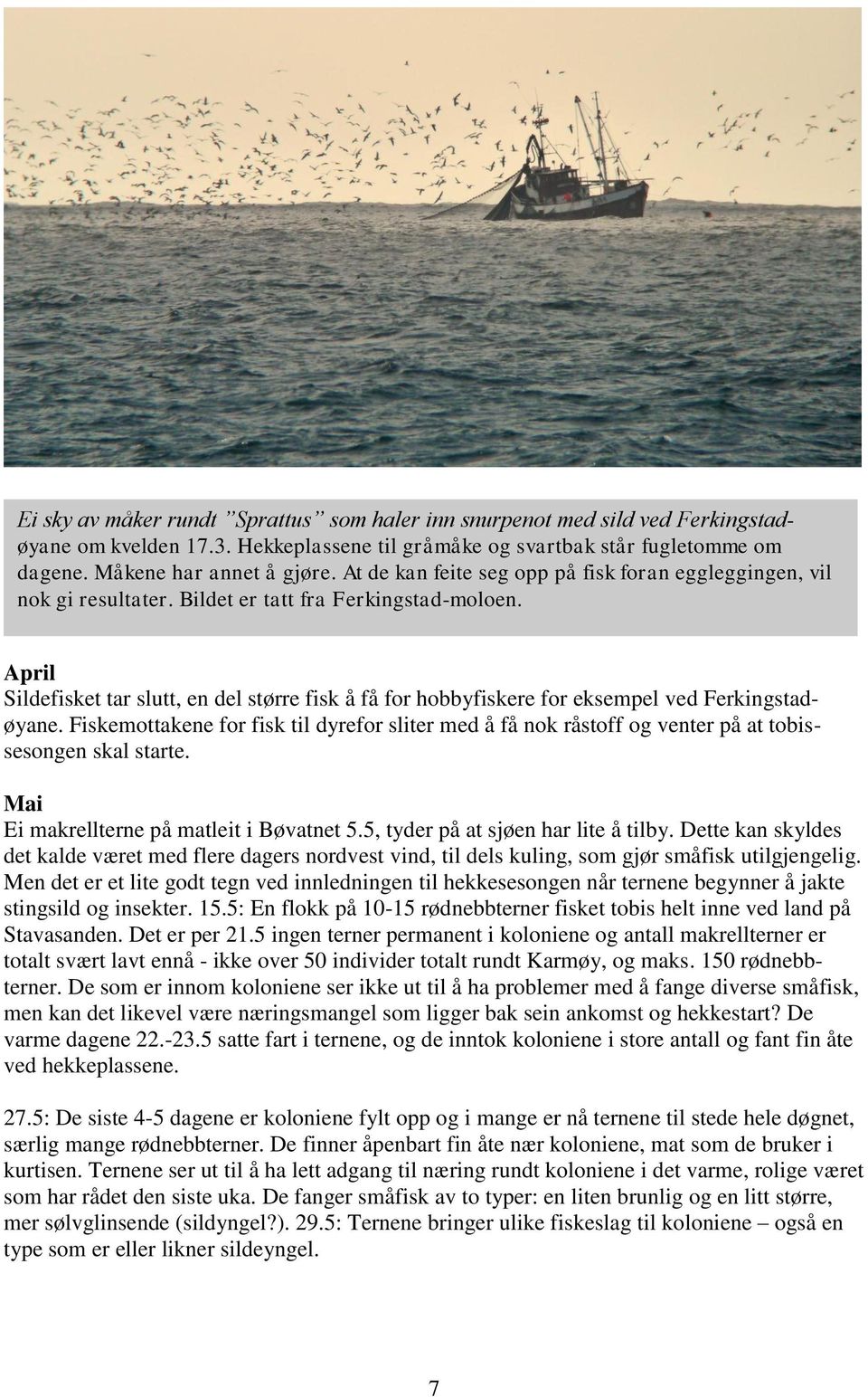 April Sildefisket tar slutt, en del større fisk å få for hobbyfiskere for eksempel ved Ferkingstadøyane.