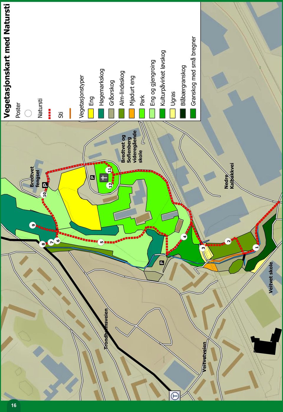13 Natursti Sti Vegetasjonstyper Eng Hagemarkskog Gråorskog Alm-lindeskog Mjødurt eng Park