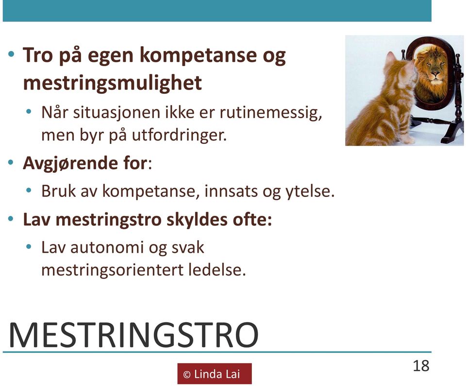 Avgjørende for: Bruk av kompetanse, innsats og ytelse.