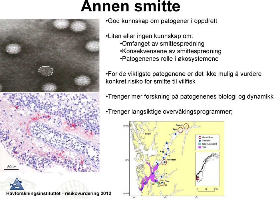 viktigste patogenene er det ikke mulig å vurdere konkret risiko for smitte til villfisk