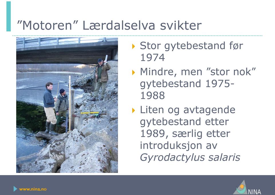 1975-1988 Liten og avtagende gytebestand etter