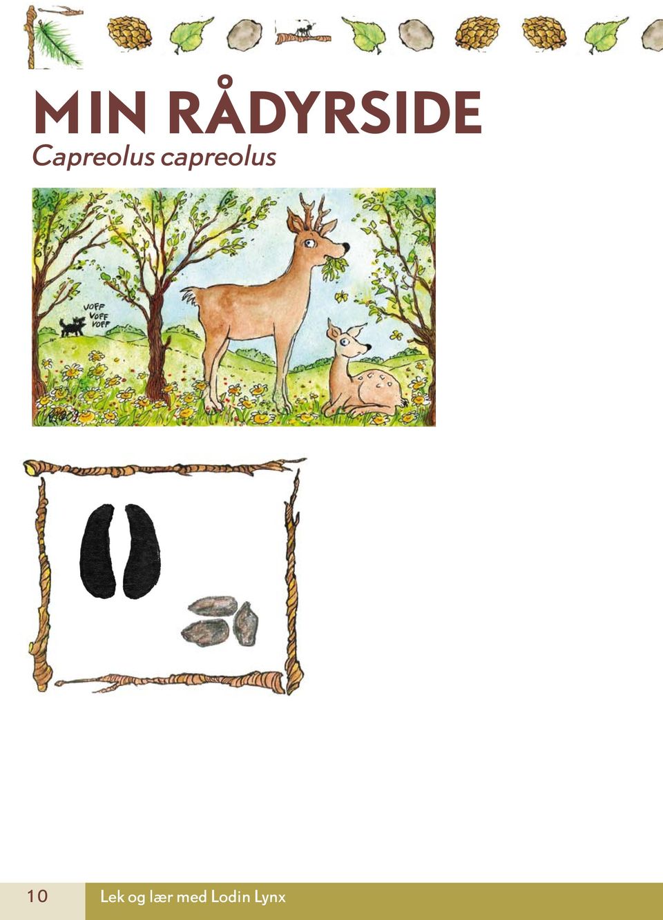 capreolus 10