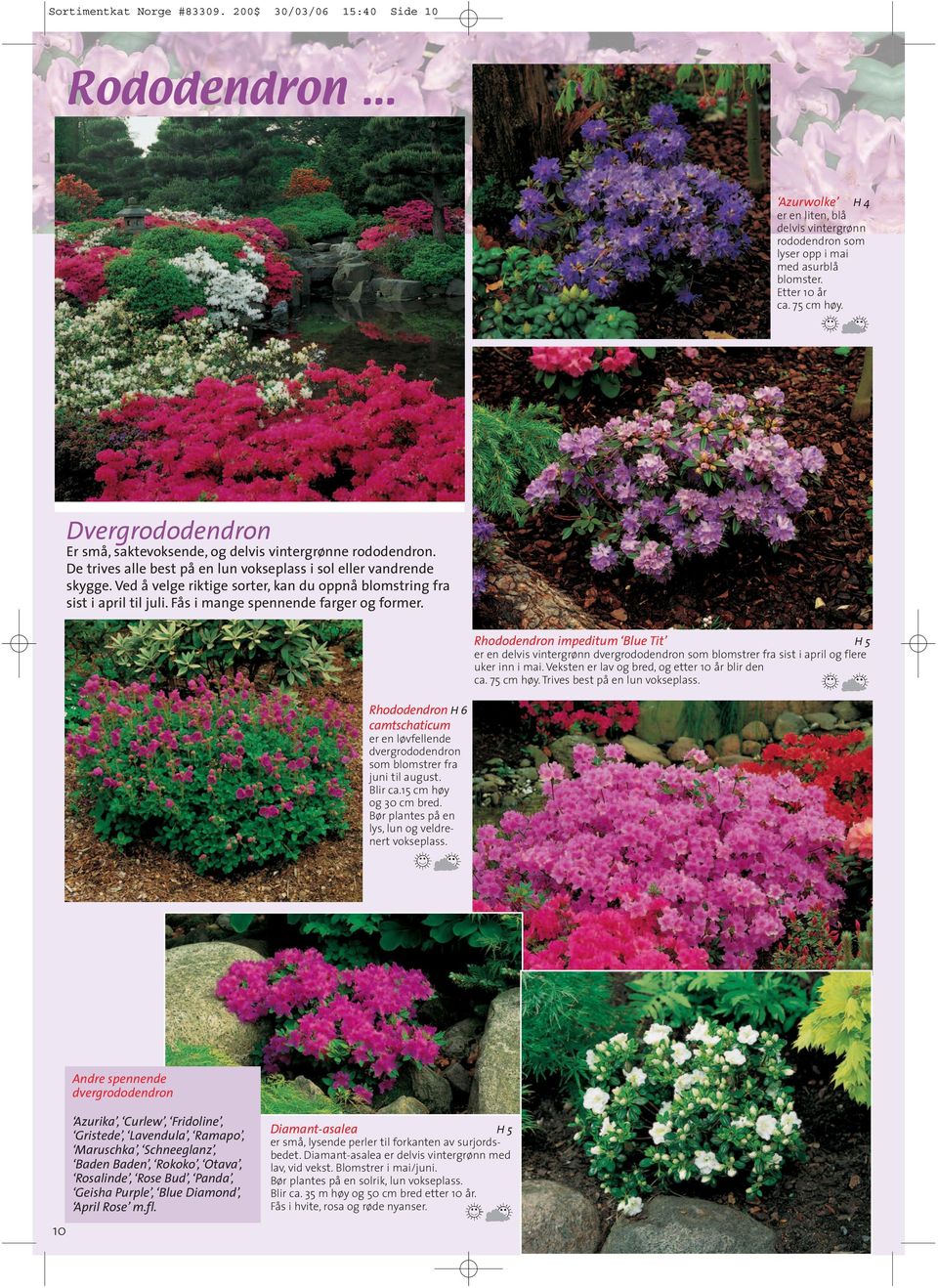 Ved å velge riktige sorter, kan du oppnå blomstring fra sist i april til juli. Fås i mange spennende farger og former.