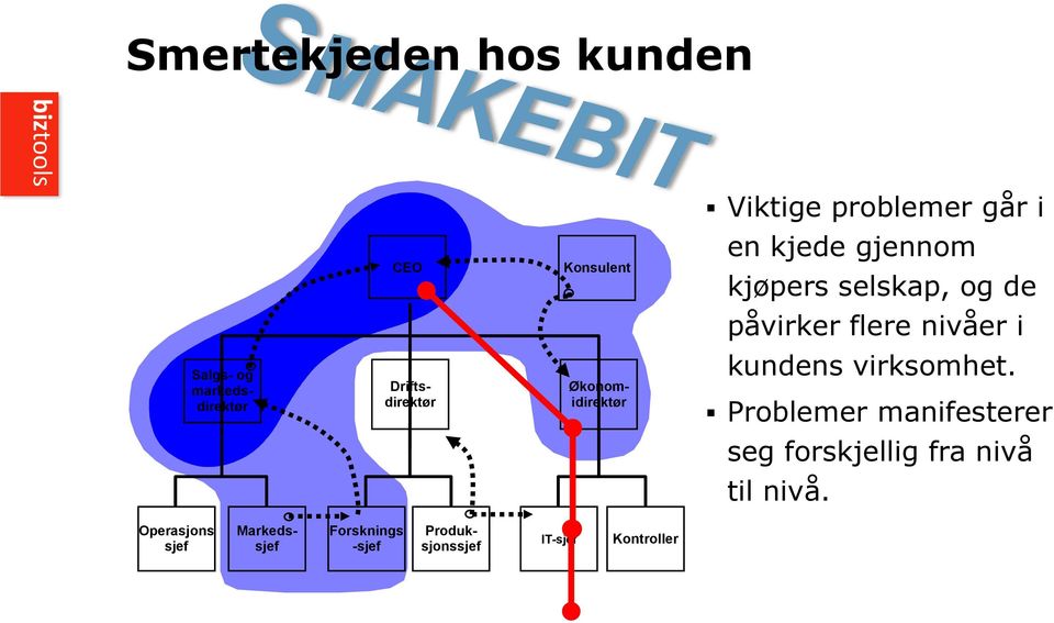 Driftsdirektør Økonomidirektør kundens virksomhet.