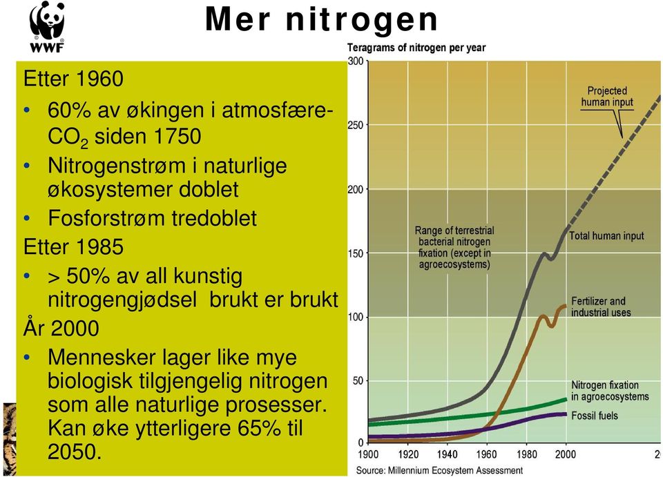 50% av all kunstig nitrogengjødsel brukt er brukt År 2000 Mennesker lager like