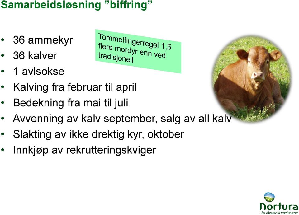 til juli Avvenning av kalv september, salg av all kalv