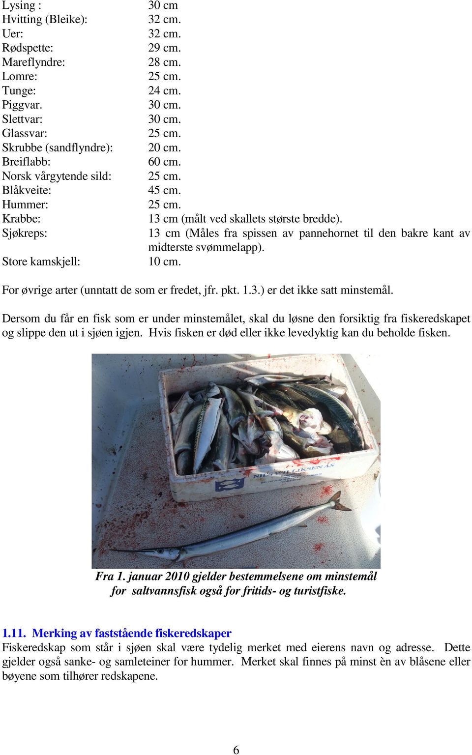 60 cm. 25 cm. 45 cm. 25 cm. 13 cm (målt ved skallets største bredde). 13 cm (Måles fra spissen av pannehornet til den bakre kant av midterste svømmelapp). 10 cm.