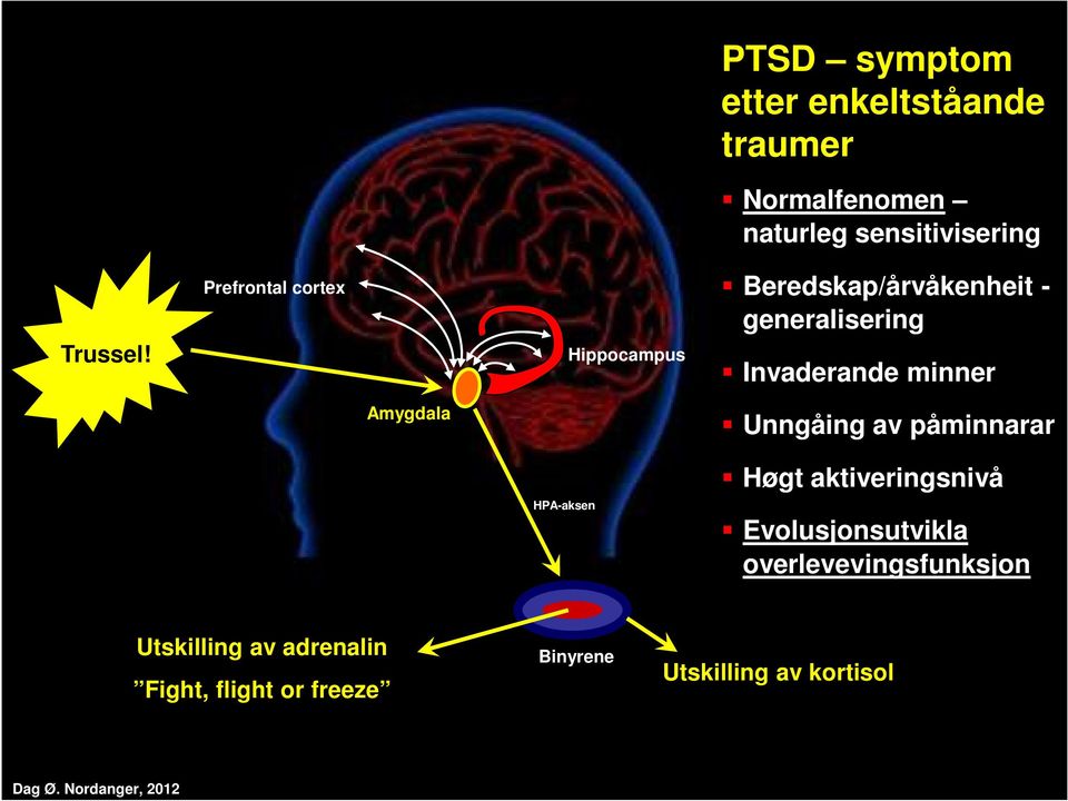 Amygdala Unngåing av påminnarar HPA-aksen Høgt aktiveringsnivå Evolusjonsutvikla